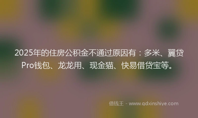 2025年的住房公积金不通过原因有:多米、翼贷Pro钱包、龙龙用、现金猫、快易借贷宝等。