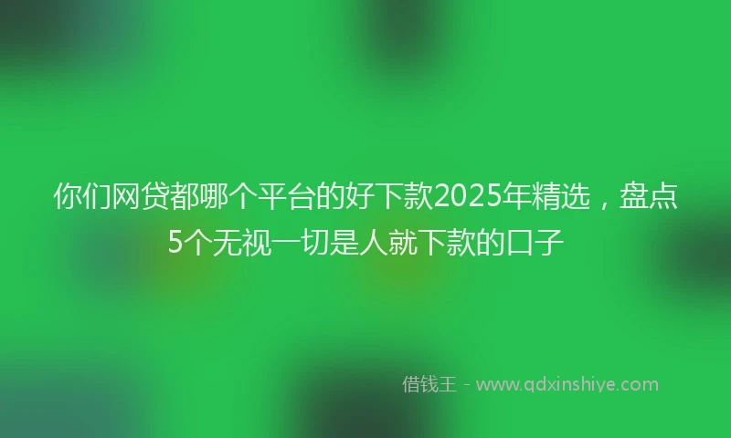 你们网贷都哪个平台的好下款2025年精选，盘点5个无视一切是人就下款的口子