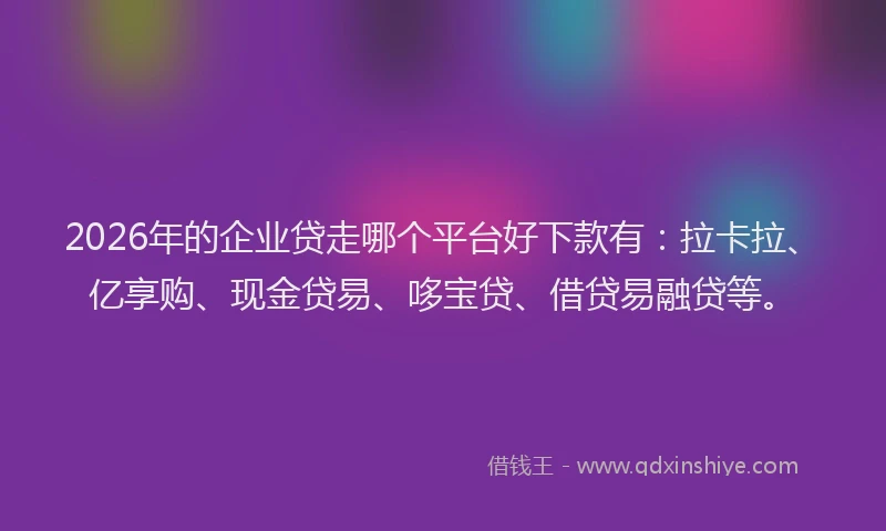 2026年的企业贷走哪个平台好下款有：拉卡拉、亿享购、现金贷易、哆宝贷、借贷易融贷等。