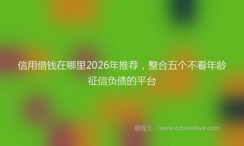 信用借钱在哪里2026年推荐，整合五个不看年龄征信负债的平台