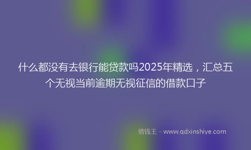 什么都没有去银行能贷款吗2025年精选，汇总五个无视当前逾期无视征信的借款口子