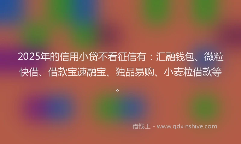 2025年的信用小贷不看征信有：汇融钱包、微粒快借、借款宝速融宝、独品易购、小麦粒借款等。