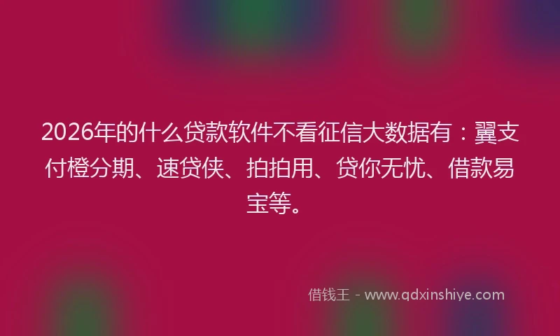 2026年的什么贷款软件不看征信大数据有：翼支付橙分期、速贷侠、拍拍用、贷你无忧、借款易宝等。