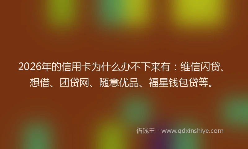 2026年的信用卡为什么办不下来有：维信闪贷、想借、团贷网、随意优品、福星钱包贷等。