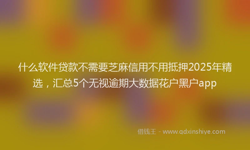 什么软件贷款不需要芝麻信用不用抵押2025年精选，汇总5个无视逾期大数据花户黑户app