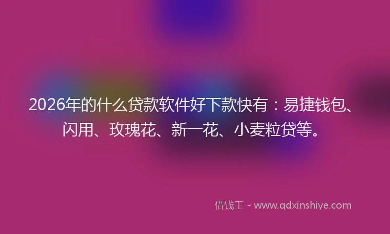 2026年的什么贷款软件好下款快有：易捷钱包、闪用、玫瑰花、新一花、小麦粒贷等。