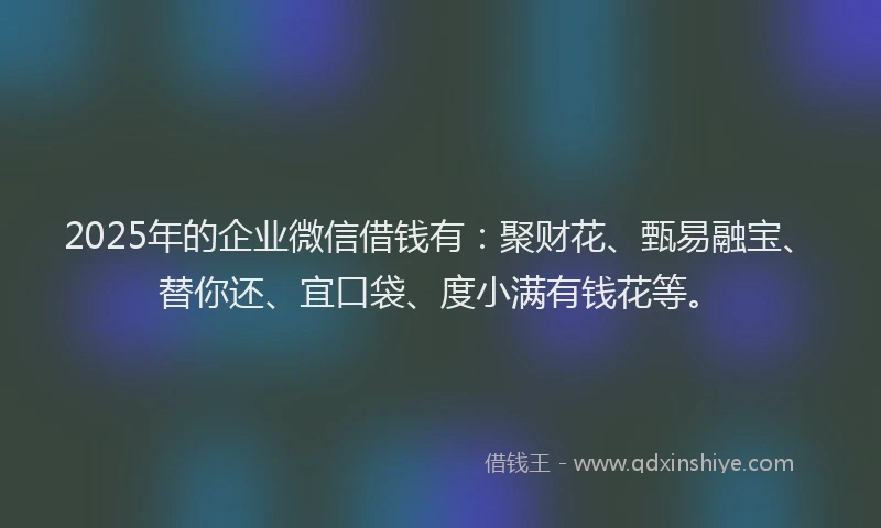 2025年的企业微信借钱有:聚财花、甄易融宝、替你还、宜口袋、度小满有钱花等。