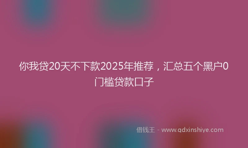 你我贷20天不下款2025年推荐，汇总五个黑户0门槛贷款口子