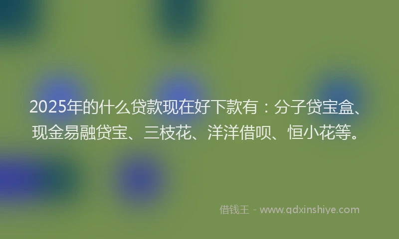 2025年的什么贷款现在好下款有：分子贷宝盒、现金易融贷宝、三枝花、洋洋借呗、恒小花等。