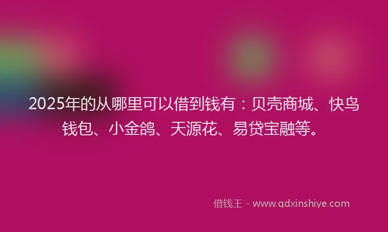 2025年的从哪里可以借到钱有：贝壳商城、快鸟钱包、小金鸽、天源花、易贷宝融等。