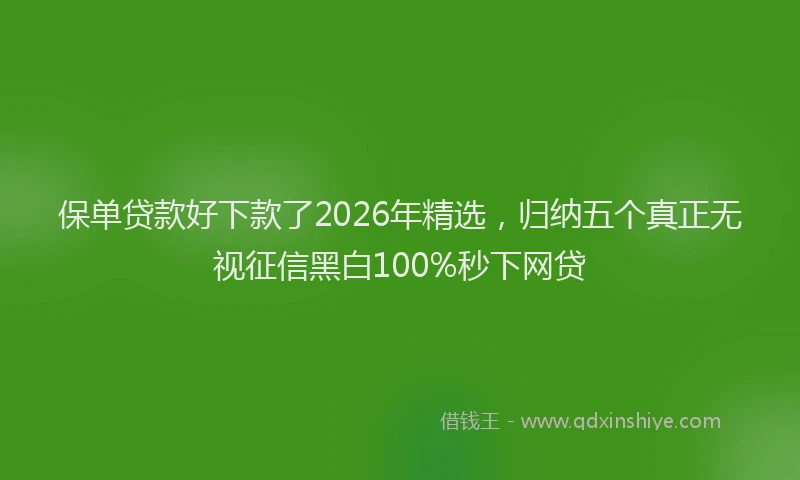 保单贷款好下款了2026年精选，归纳五个真正无视征信黑白100%秒下网贷