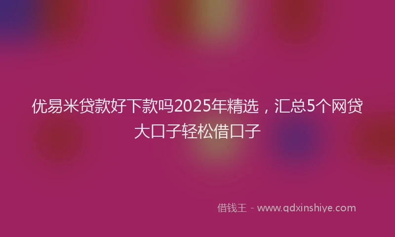 优易米贷款好下款吗2025年精选，汇总5个网贷大口子轻松借口子