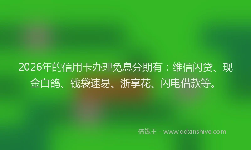 2026年的信用卡办理免息分期有：维信闪贷、现金白鸽、钱袋速易、浙享花、闪电借款等。