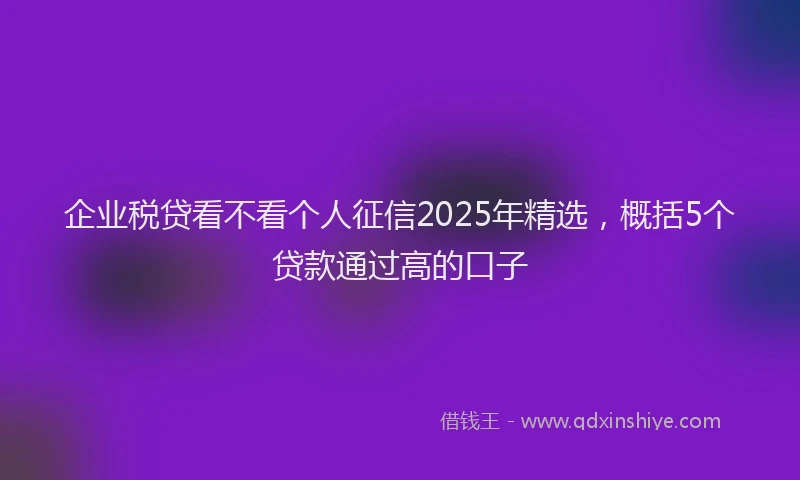 企业税贷看不看个人征信2025年精选，概括5个贷款通过高的口子