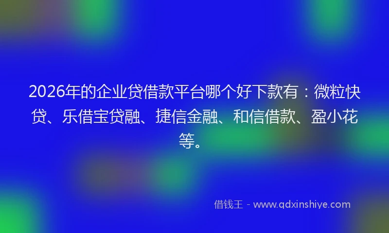 2026年的企业贷借款平台哪个好下款有：微粒快贷、乐借宝贷融、捷信金融、和信借款、盈小花等。