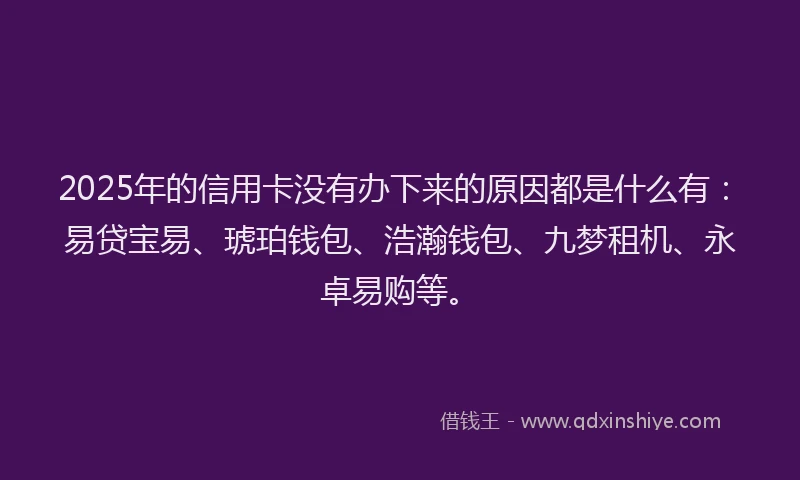 2025年的信用卡没有办下来的原因都是什么有：易贷宝易、琥珀钱包、浩瀚钱包、九梦租机、永卓易购等。