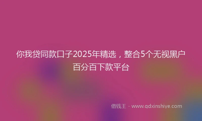 你我贷同款口子2025年精选,整合5个无视黑户百分百下款平台