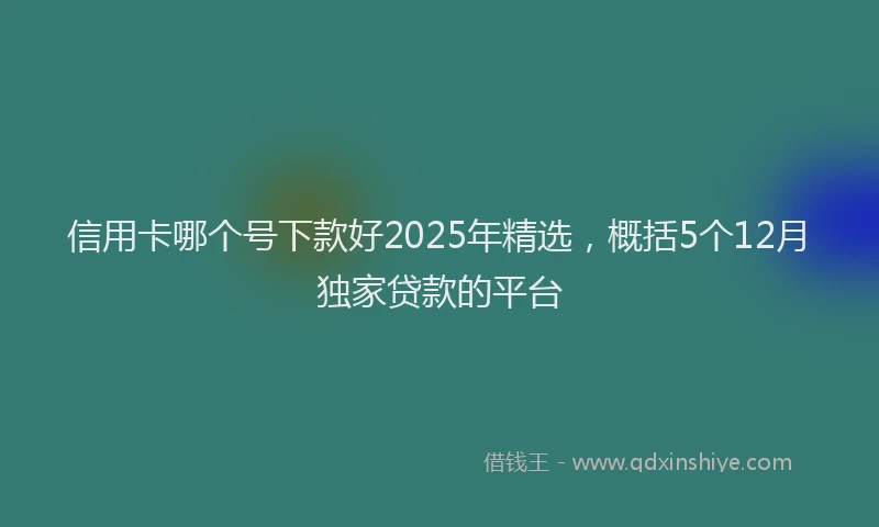 信用卡哪个号下款好2025年精选，概括5个12月独家贷款的平台