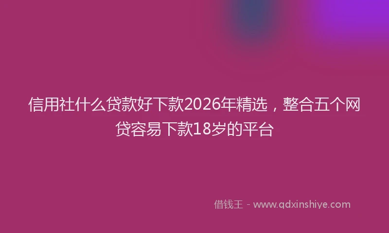 信用社什么贷款好下款2026年精选，整合五个网贷容易下款18岁的平台