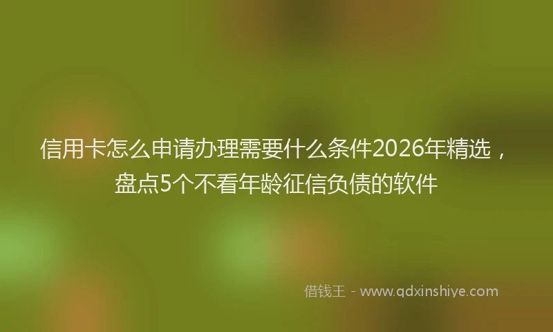 信用卡怎么申请办理需要什么条件2026年精选，盘点5个不看年龄征信负债的软件