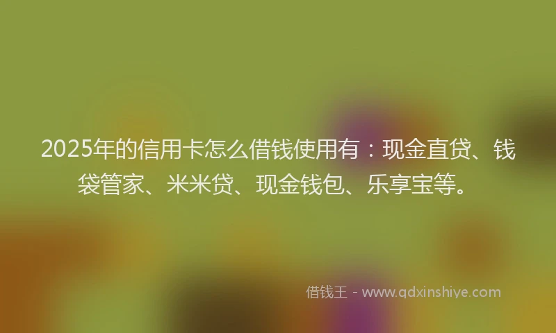 2025年的信用卡怎么借钱使用有：现金直贷、钱袋管家、米米贷、现金钱包、乐享宝等。