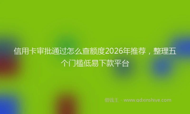 信用卡审批通过怎么查额度2026年推荐，整理五个门槛低易下款平台