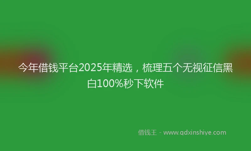 今年借钱平台2025年精选,梳理五个无视征信黑白100%秒下软件