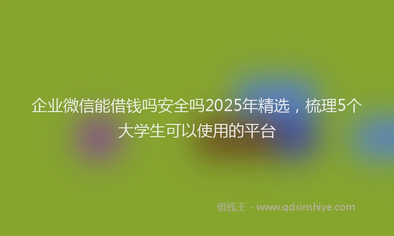 企业微信能借钱吗安全吗2025年精选，梳理5个大学生可以使用的平台