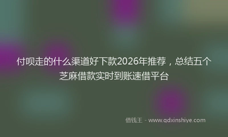 付呗走的什么渠道好下款2026年推荐，总结五个芝麻借款实时到账速借平台