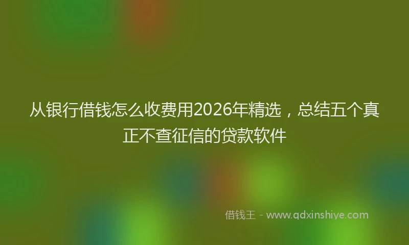 从银行借钱怎么收费用2026年精选，总结五个真正不查征信的贷款软件