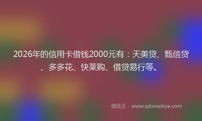 2026年的信用卡借钱2000元有:天美贷、甄信贷、多多花、快莱购、借贷易行等。