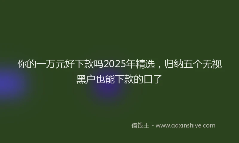 你的一万元好下款吗2025年精选，归纳五个无视黑户也能下款的口子