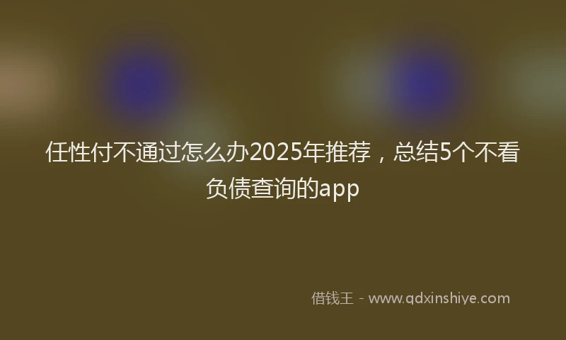 任性付不通过怎么办2025年推荐，总结5个不看负债查询的app