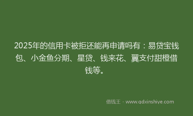 2025年的信用卡被拒还能再申请吗有：易贷宝钱包、小金鱼分期、星贷、钱来花、翼支付甜橙借钱等。