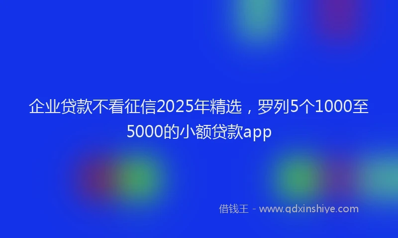 企业贷款不看征信2025年精选，罗列5个1000至5000的小额贷款app
