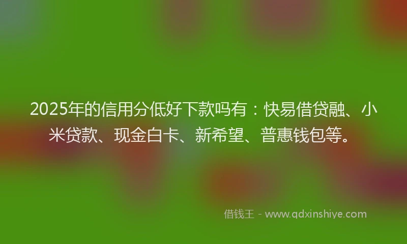 2025年的信用分低好下款吗有:快易借贷融、小米贷款、现金白卡、新希望、普惠钱包等。