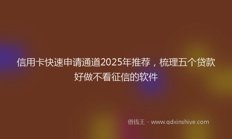 信用卡快速申请通道2025年推荐,梳理五个贷款好做不看征信的软件
