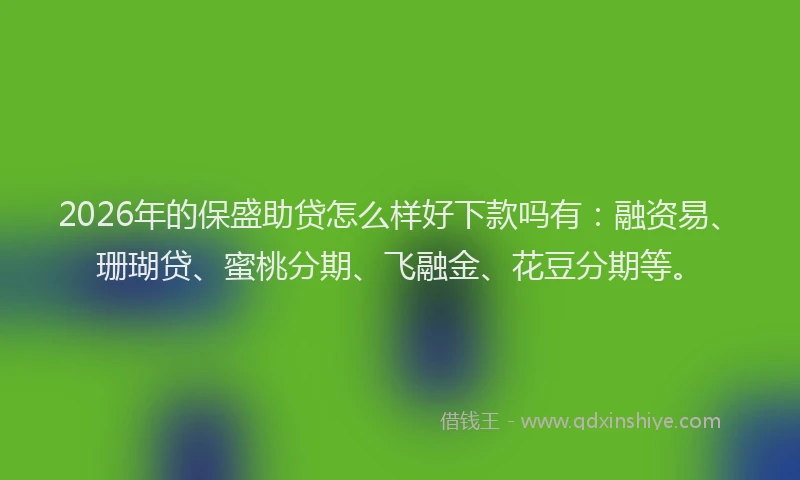 2026年的保盛助贷怎么样好下款吗有：融资易、珊瑚贷、蜜桃分期、飞融金、花豆分期等。