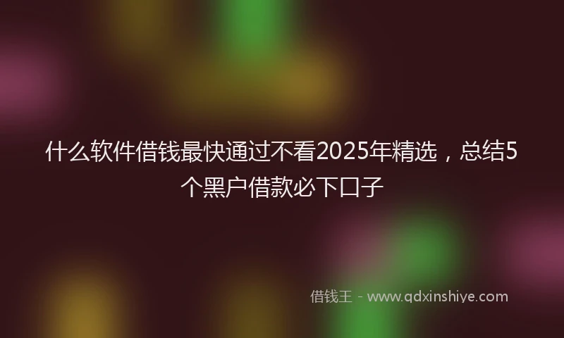 什么软件借钱最快通过不看2025年精选，总结5个黑户借款必下口子