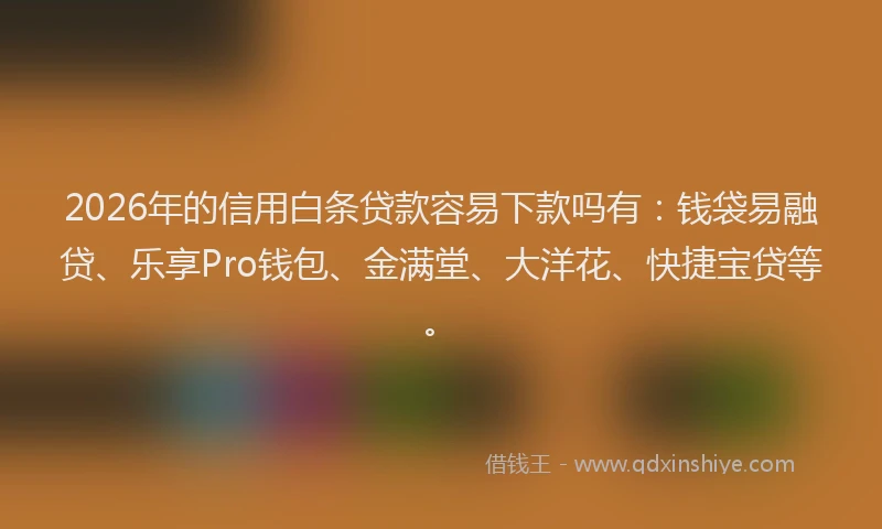 2026年的信用白条贷款容易下款吗有：钱袋易融贷、乐享Pro钱包、金满堂、大洋花、快捷宝贷等。