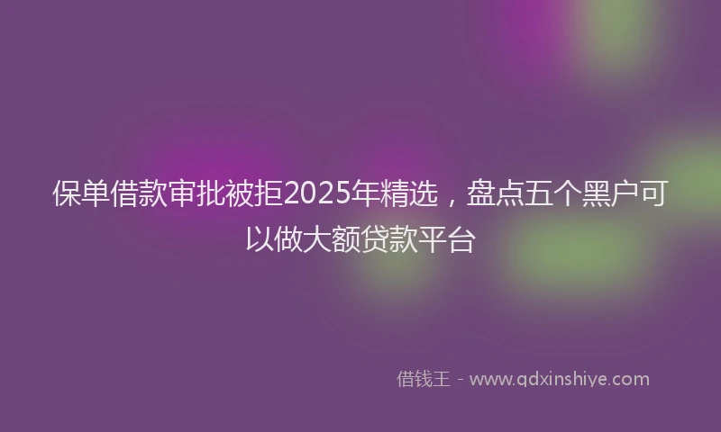 保单借款审批被拒2025年精选，盘点五个黑户可以做大额贷款平台