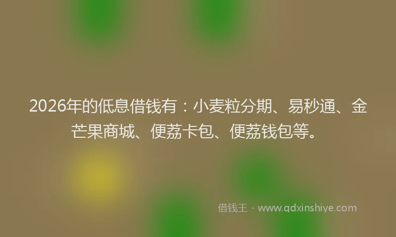 2026年的低息借钱有：小麦粒分期、易秒通、金芒果商城、便荔卡包、便荔钱包等。