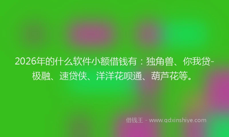 2026年的什么软件小额借钱有：独角兽、你我贷-极融、速贷侠、洋洋花呗通、葫芦花等。