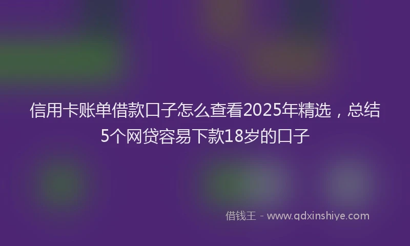 信用卡账单借款口子怎么查看2025年精选，总结5个网贷容易下款18岁的口子