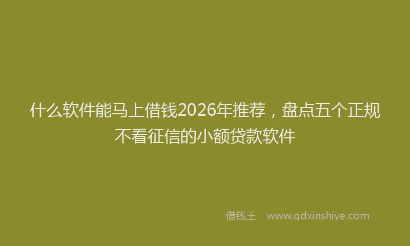 什么软件能马上借钱2026年推荐，盘点五个正规不看征信的小额贷款软件