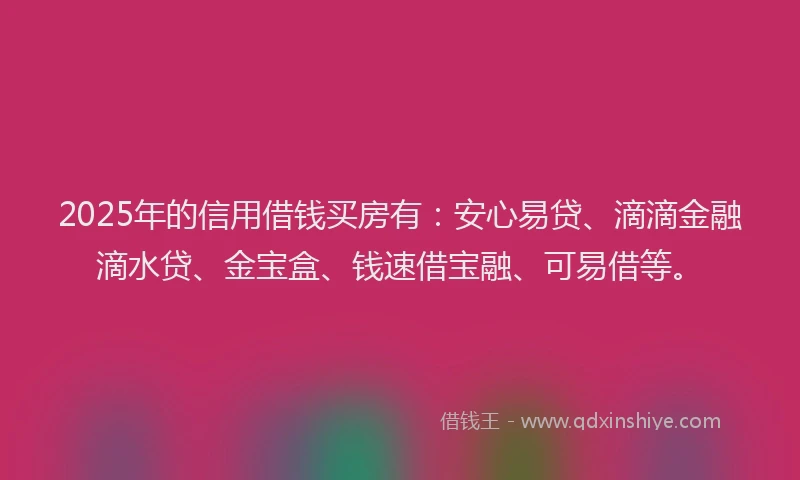 2025年的信用借钱买房有：安心易贷、滴滴金融滴水贷、金宝盒、钱速借宝融、可易借等。