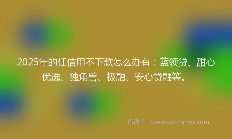 2025年的任信用不下款怎么办有:蓝领贷、甜心优选、独角兽、极融、安心贷融等。