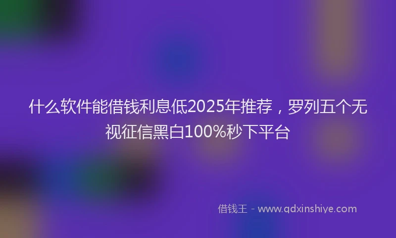 什么软件能借钱利息低2025年推荐，罗列五个无视征信黑白100%秒下平台