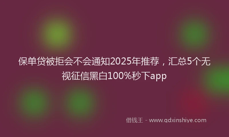 保单贷被拒会不会通知2025年推荐，汇总5个无视征信黑白100%秒下app