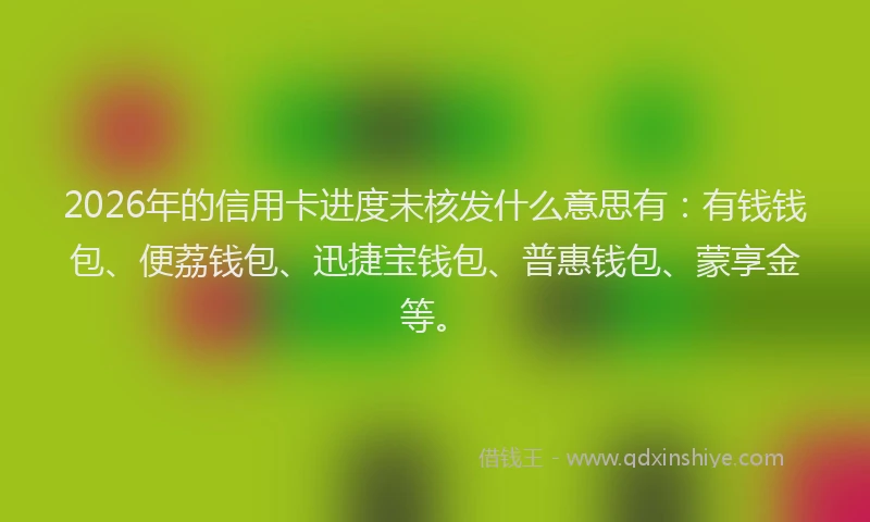 2026年的信用卡进度未核发什么意思有：有钱钱包、便荔钱包、迅捷宝钱包、普惠钱包、蒙享金等。